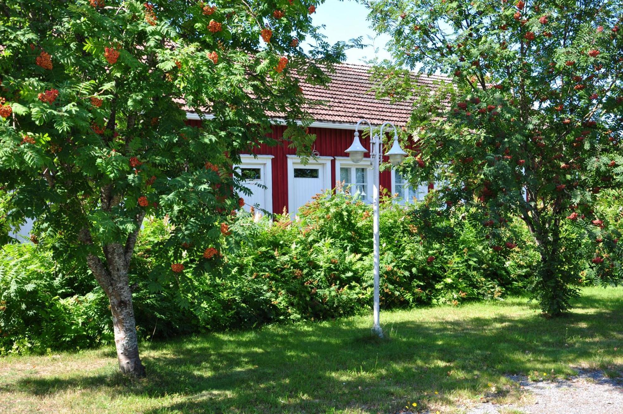 Opintola Bed & Breakfast Norinkylä Eksteriør billede